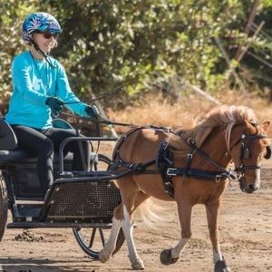 Meet your Posher, Kathleen